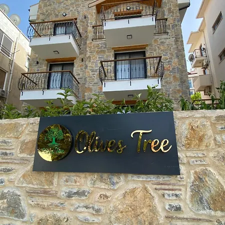 Olives Tree 达特恰