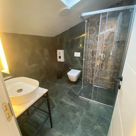 Olives Tree * 닷차