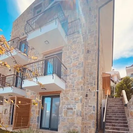 Olives Tree * Datça