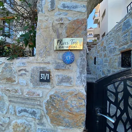 Olives Tree Nocleg ze śniadaniem Datça