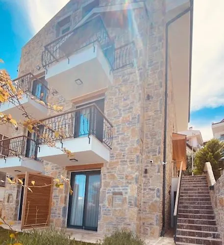 Olives Tree * Datça